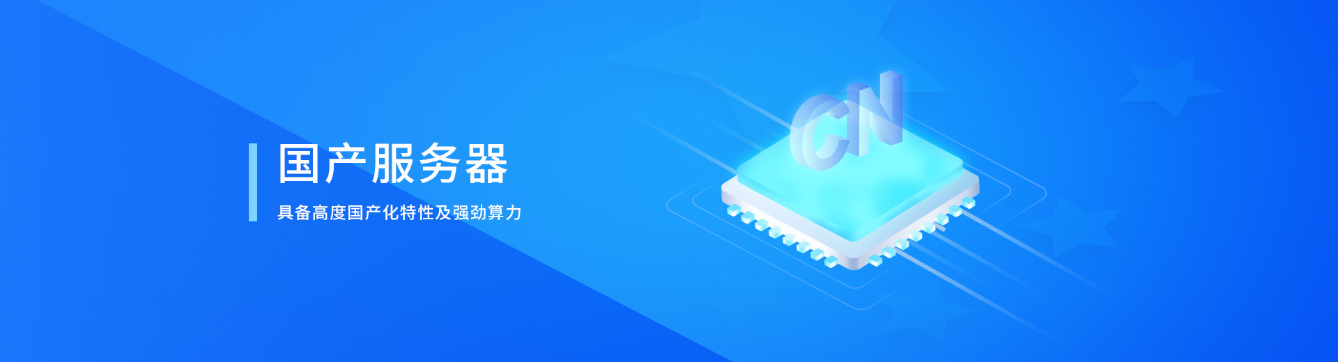 瑞驰VSFT2524飞腾海量存储服务器